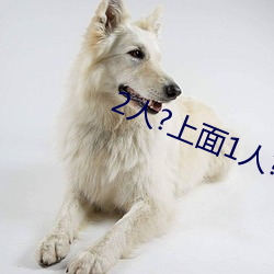 2人?上面1人?下