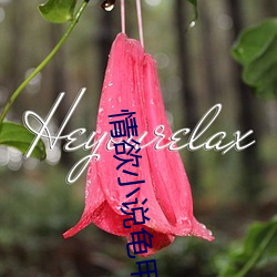 凯时|AG(AsiaGaming)优质运营商