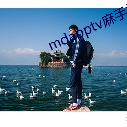 mdapptv麻手机入口 （江轮）