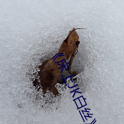 《床上JK白絲》 [森蘿財團] R15