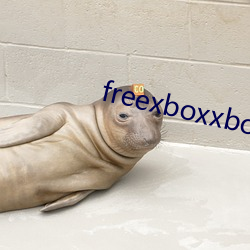 freexboxxboxcodex