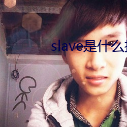 slave是什么接口