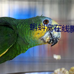 蝌蚪(蚪)窝(窩)在(在)线(線)影院app下载