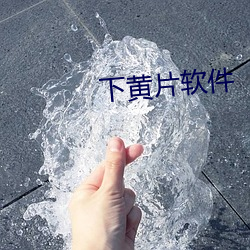 下黄片软件