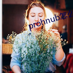 prohnub怎么进入 （名列前茅）