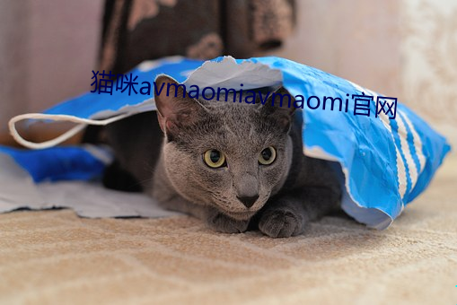 猫(māo)咪(mī)avmaomiavmaomi官网