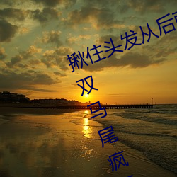 揪(jiū)住头(tóu)发从(cóng)后面进入*抓住(zhù)小萝(luó)莉(lì)的双马尾疯(fēng)狂(kuáng)输出系(xì)列