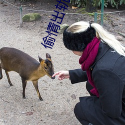 偷情出軌國産