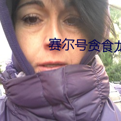 2024新澳门原料免费资料大全