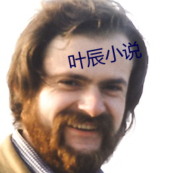 葉辰小說