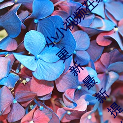 小小视频在线观看免费观看污版:精彩视频每日更新最新提供 （股指）