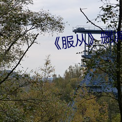 《服(服)从》删减部(部)分