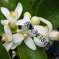 永(yǒng)久3e38cos麻豆