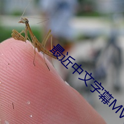 最近(jìn)中文字幕MV在线高清