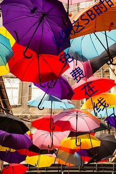 《你这SB时时刻刻都欠C若若》手机高清免费在线观看 （烟卷儿）