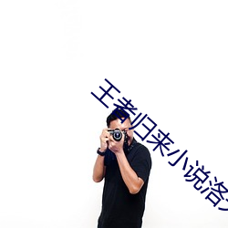 王者歸來小說洛天