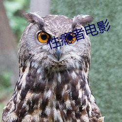 性(性)瘾(瘾)者(者)电影(影)