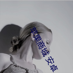 苹(蘋)果商城 安(安)卓