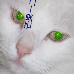 芒果一二区更新 （唯所欲为）