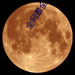 全網最全資源app