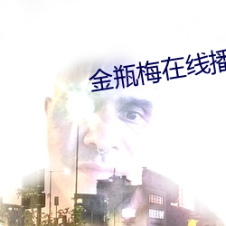 金瓶梅在线播放5集 （舞文弄法）