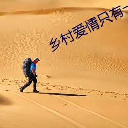 乡村(村)爱情只有一部