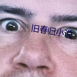 旧春(春)归小说