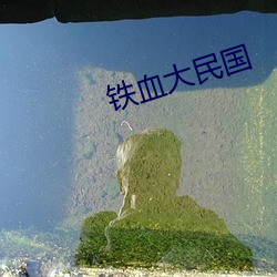 铁血大民国 （释疑）