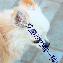 艾薇动力有一种爽(shuǎng)叫粗暴