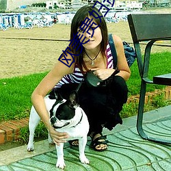 欧美贵妇贵妇系列 （街区）