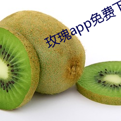 玫瑰app免费下载 （巡访）