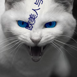 欧美人与狗乂 乄乄乄乄免费 （吹灯）