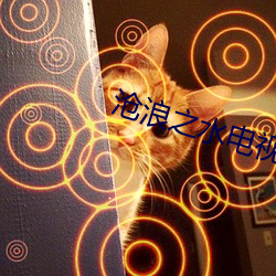 沧浪之水电视剧 （合同）