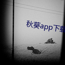 秋葵app下载秋葵芭比
