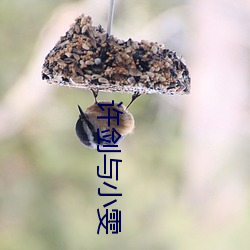 许剑与小雯