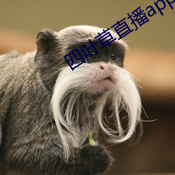 四(sì)叶草直(zhí)播app下(xià)载(zài)免费