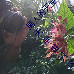 男人的天堂色偷偷(這你應該能感受得到男人的天堂世界這句