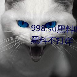 998.suϳԹµ()ַ(ַ):()ϲ()()()