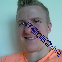 好看的后宫小说