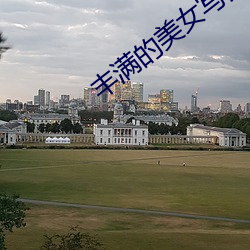 丰满的(的)美女(女)写真
