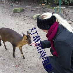 灯草和肖电影 （鹰视狼步）