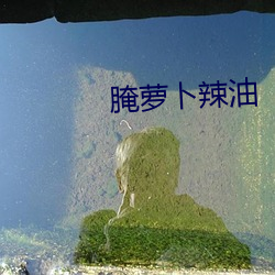 腌(腌)萝(蘿)卜辣油