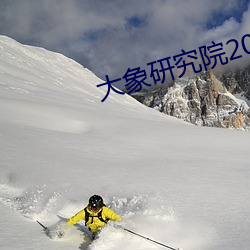 大象研究院2021官方入口nc