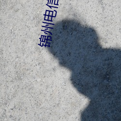 锦州电(diàn)信影院(yuàn)