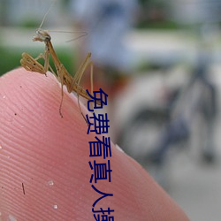 免费看真人(rén)操逼(bī)APP