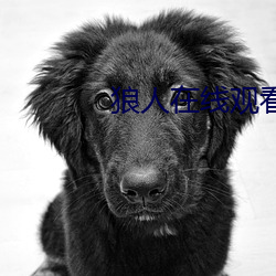 狼人在线(線)观看视频