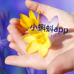 小蝌蚪app （家长里短）