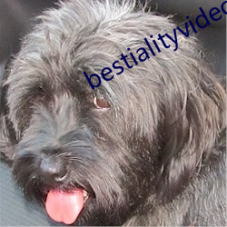 bestialityvideo另类