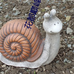 花(huā)都巅峰(fēng)狂(kuáng)少