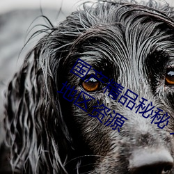 國産精品秘秘 入口麻豆一站式更新了各地區資源